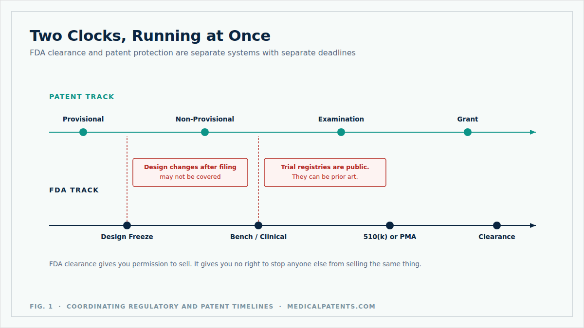 Parallel timelines showing the patent track and FDA track with points where they collide
